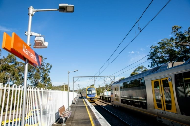 Everdene Rosella-Rise train