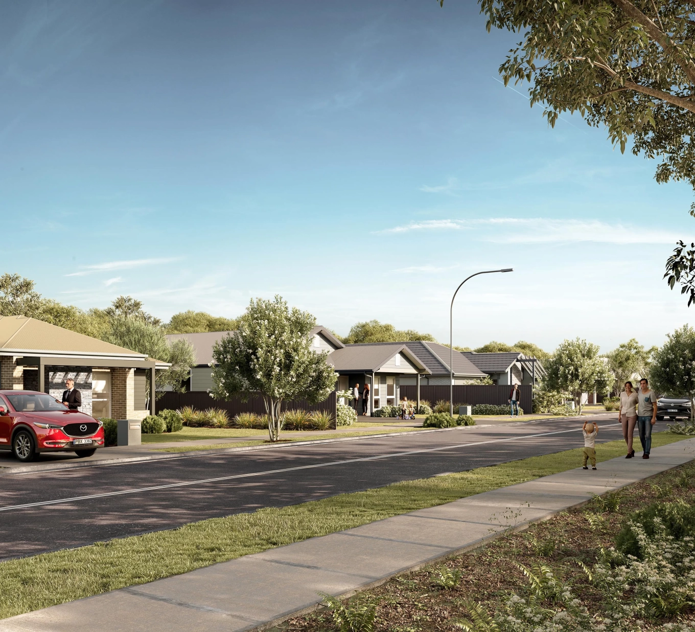 Everdene Rosella-Rise Rosella