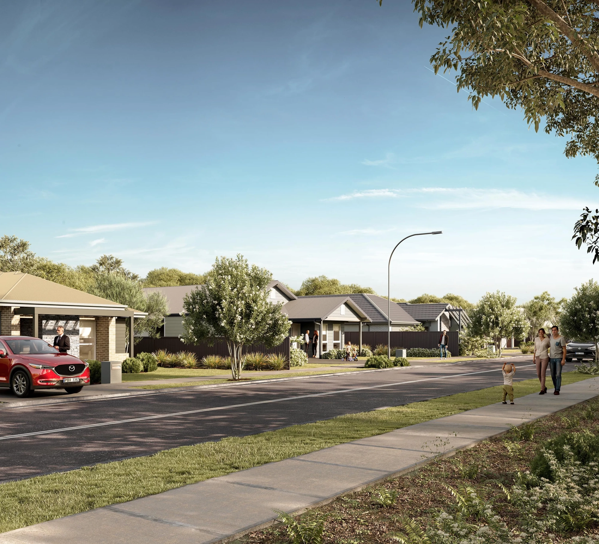 Everdene Rosella-Rise Rosella