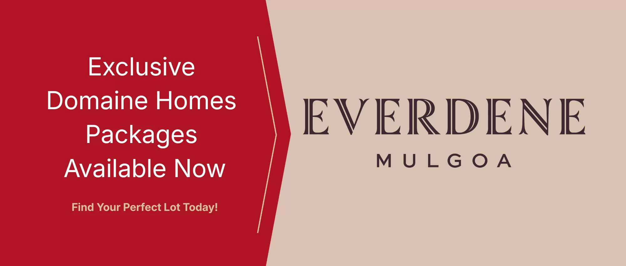 Everdene everdene-website-768-x-1000-px-2000-x-850-px-5