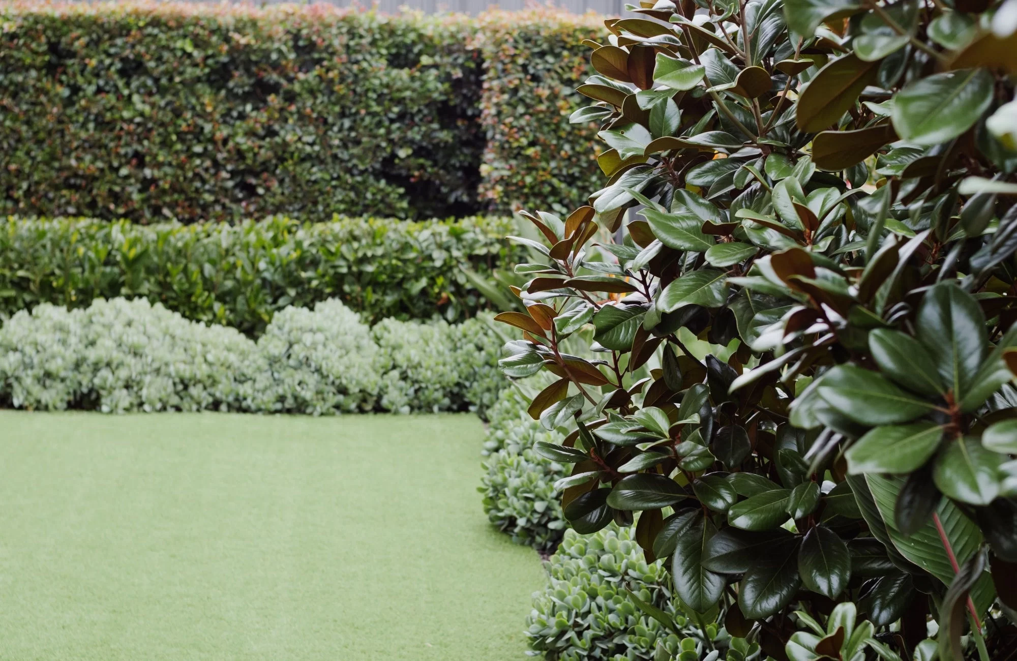 nsw Coastal-Photography Riviera-30 52-1400498-0-0-0-0-1652761331-edited