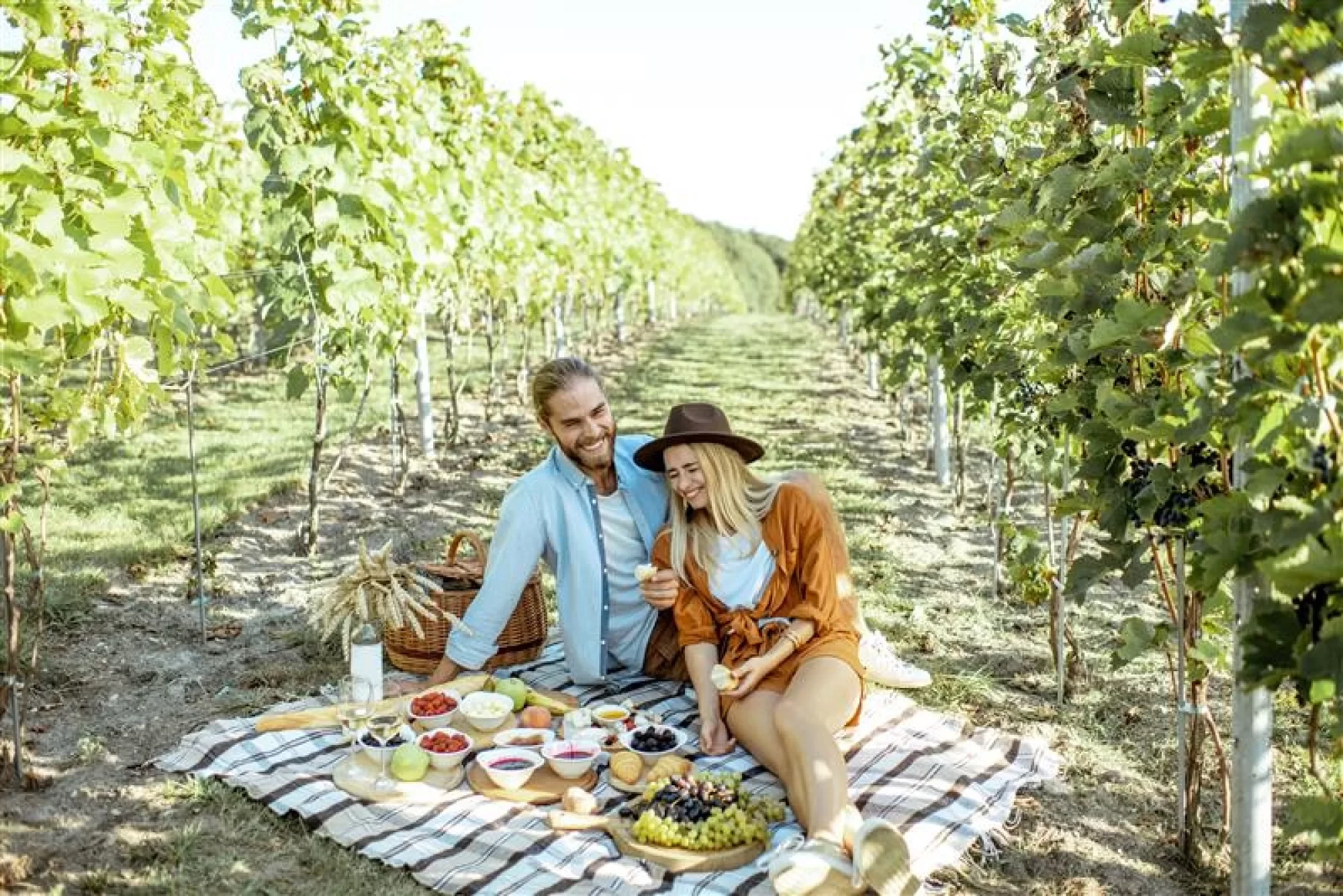 nsw Regional-Pages shutterstock-1507384961